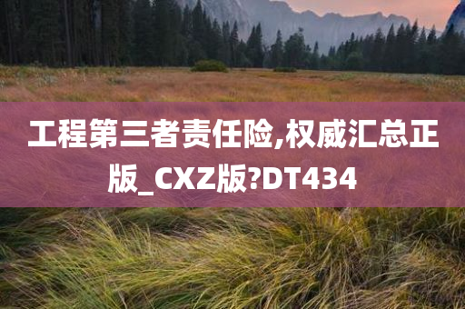 工程第三者责任险,权威汇总正版_CXZ版?DT434