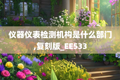 仪器仪表检测机构是什么部门,复刻版_EE533