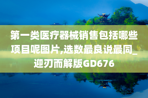 第一类医疗器械销售包括哪些项目呢图片,选数最良说最同_迎刃而解版GD676