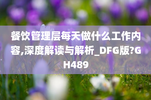 餐饮管理层每天做什么工作内容,深度解读与解析_DFG版?GH489