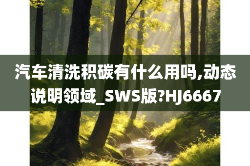 汽车清洗积碳有什么用吗,动态说明领域_SWS版?HJ6667