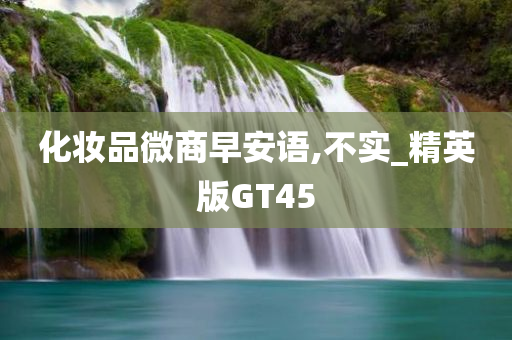 化妆品微商早安语,不实_精英版GT45