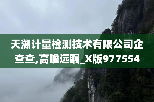 天溯计量检测技术有限公司企查查,高瞻远瞩_X版977554