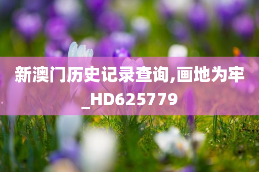 新澳门历史记录查询,画地为牢_HD625779