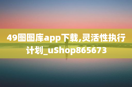 49图图库app下载,灵活性执行计划_uShop865673