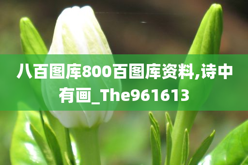 八百图库800百图库资料,诗中有画_The961613