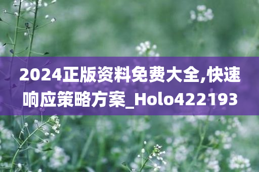 2024正版资料免费大全,快速响应策略方案_Holo422193