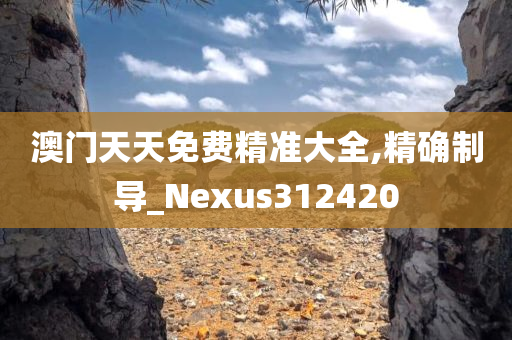 澳门天天免费精准大全,精确制导_Nexus312420