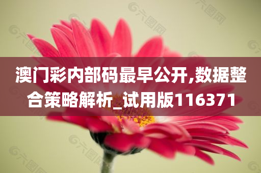 澳门彩内部码最早公开,数据整合策略解析_试用版116371