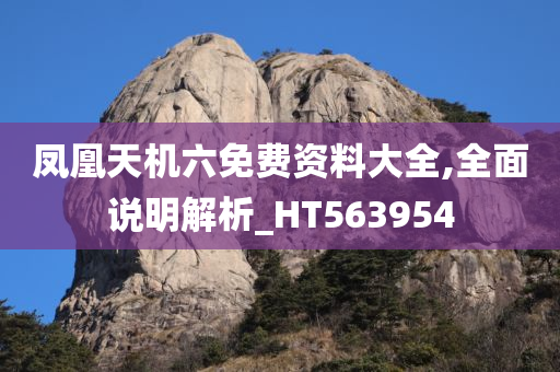 凤凰天机六免费资料大全,全面说明解析_HT563954