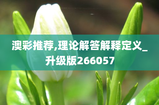 澳彩推荐,理论解答解释定义_升级版266057