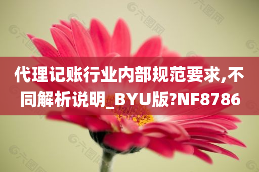 代理记账行业内部规范要求,不同解析说明_BYU版?NF8786