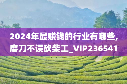 2024年最赚钱的行业有哪些,磨刀不误砍柴工_VIP236541