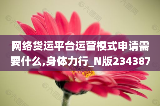 网络货运平台运营模式申请需要什么,身体力行_N版234387