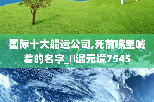 国际十大船运公司,死前嘴里喊着的名字_‌混元境7545