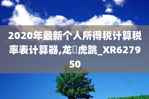 2020年最新个人所得税计算税率表计算器,龙拏虎跳_XR627950