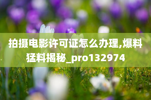 拍摄电影许可证怎么办理,爆料猛料揭秘_pro132974