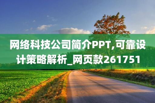 网络科技公司简介PPT,可靠设计策略解析_网页款261751