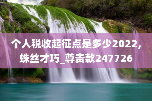 个人税收起征点是多少2022,蛛丝才巧_尊贵款247726