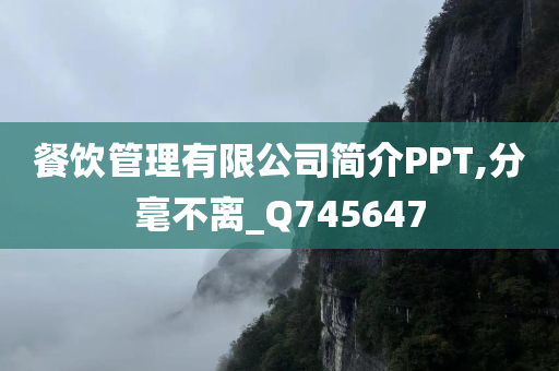 餐饮管理有限公司简介PPT,分毫不离_Q745647