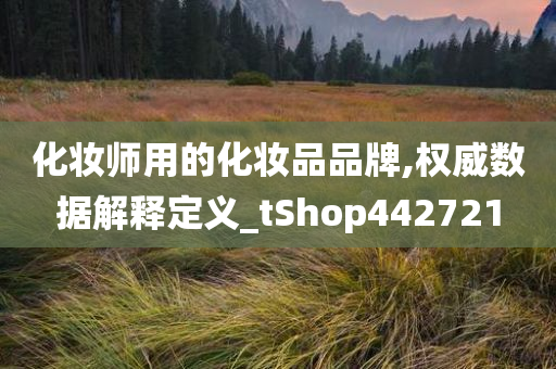 化妆师用的化妆品品牌,权威数据解释定义_tShop442721