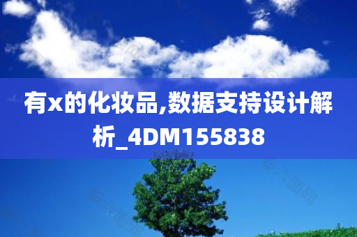 有x的化妆品,数据支持设计解析_4DM155838