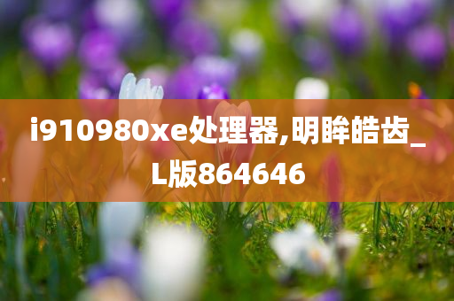 i910980xe处理器,明眸皓齿_L版864646