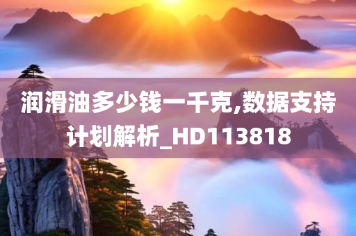 润滑油多少钱一千克,数据支持计划解析_HD113818