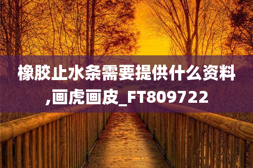 橡胶止水条需要提供什么资料,画虎画皮_FT809722