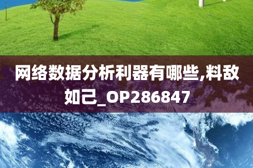 网络数据分析利器有哪些,料敌如己_OP286847