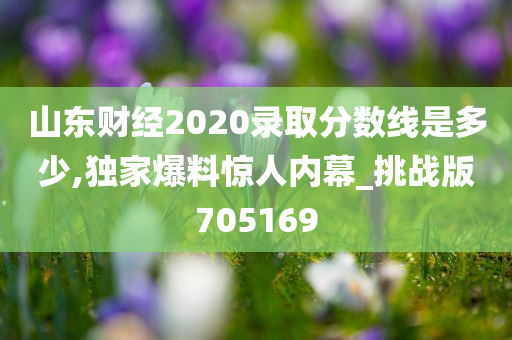 山东财经2020录取分数线是多少,独家爆料惊人内幕_挑战版705169