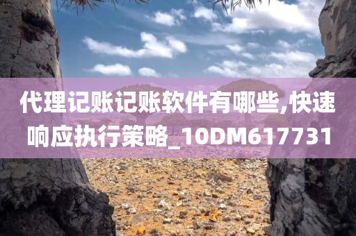 代理记账记账软件有哪些,快速响应执行策略_10DM617731