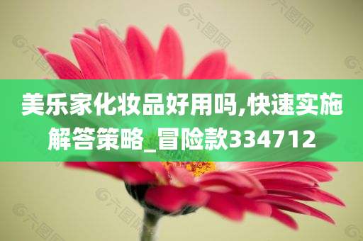 美乐家化妆品好用吗,快速实施解答策略_冒险款334712