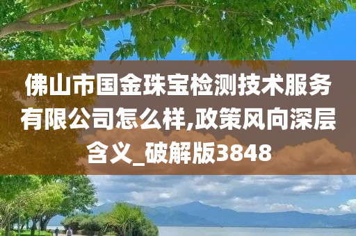 佛山市国金珠宝检测技术服务有限公司怎么样,政策风向深层含义_破解版3848