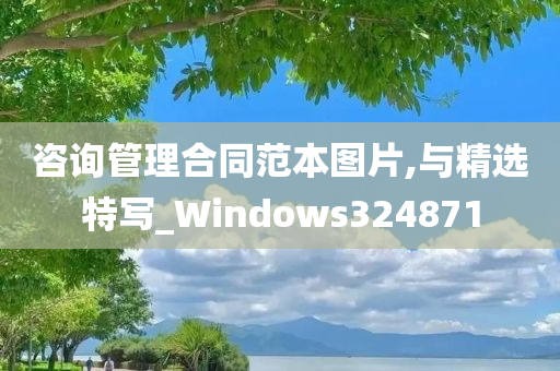 咨询管理合同范本图片,与精选特写_Windows324871