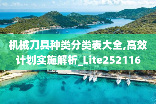 机械刀具种类分类表大全,高效计划实施解析_Lite252116