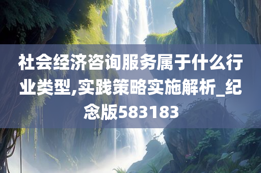 社会经济咨询服务属于什么行业类型,实践策略实施解析_纪念版583183