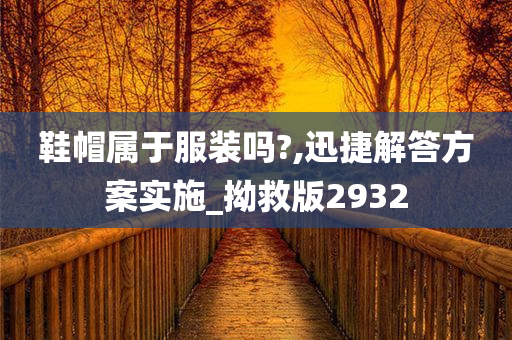 鞋帽属于服装吗?,迅捷解答方案实施_拗救版2932