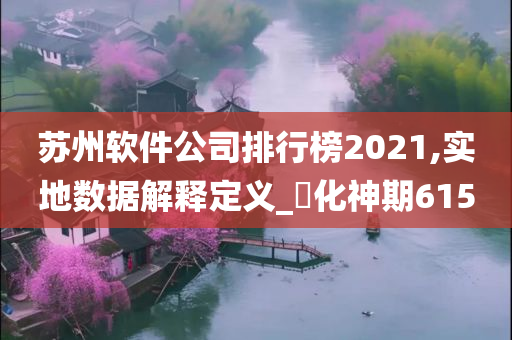 苏州软件公司排行榜2021,实地数据解释定义_‌化神期6150