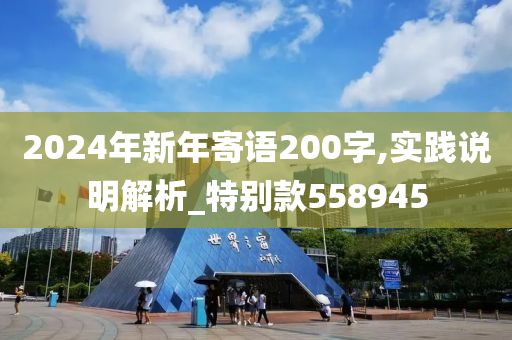 2024年新年寄语200字,实践说明解析_特别款558945