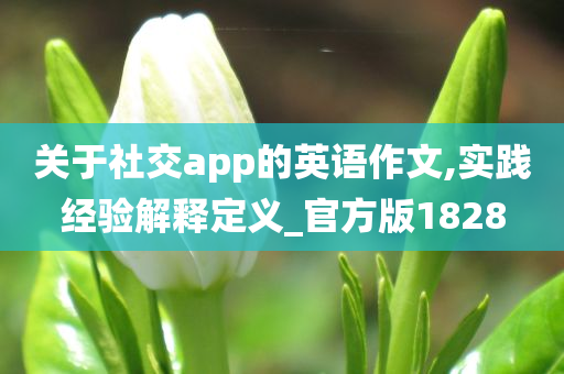 关于社交app的英语作文,实践经验解释定义_官方版1828