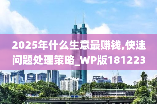 2025年什么生意最赚钱,快速问题处理策略_WP版181223