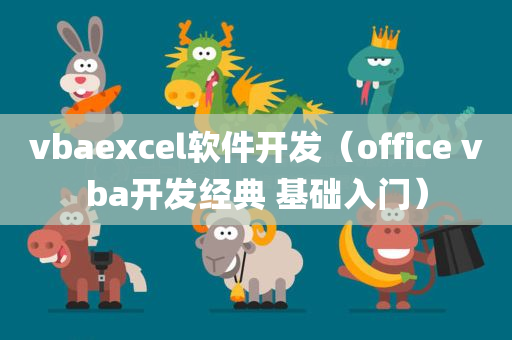 vbaexcel软件开发（office vba开发经典 基础入门）