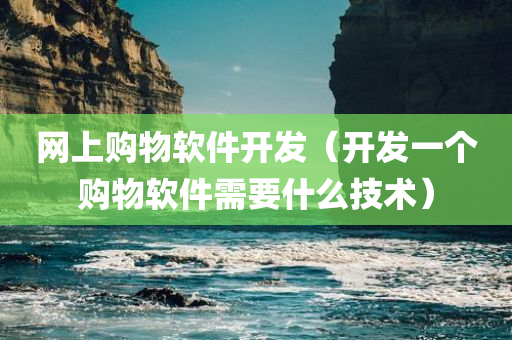 网上购物软件开发（开发一个购物软件需要什么技术）