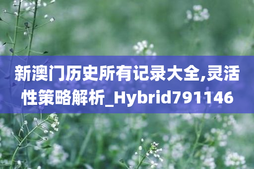 新澳门历史所有记录大全,灵活性策略解析_Hybrid791146