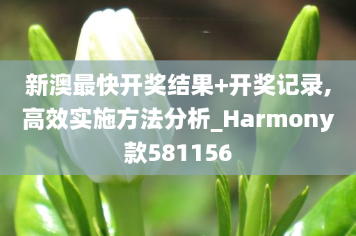 新澳最快开奖结果+开奖记录,高效实施方法分析_Harmony款581156