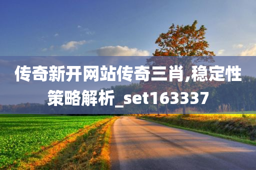 传奇新开网站传奇三肖,稳定性策略解析_set163337