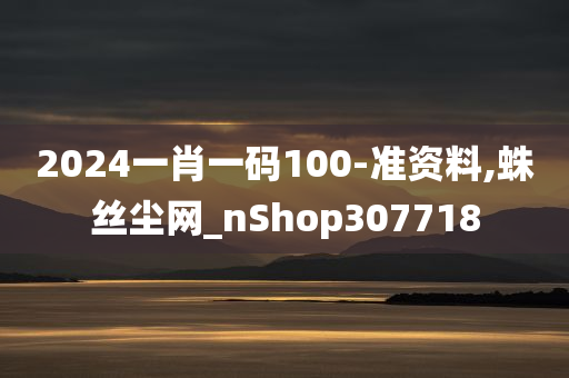 2024一肖一码100-准资料,蛛丝尘网_nShop307718