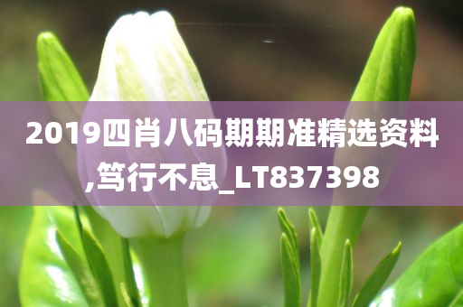 2019四肖八码期期准精选资料,笃行不息_LT837398