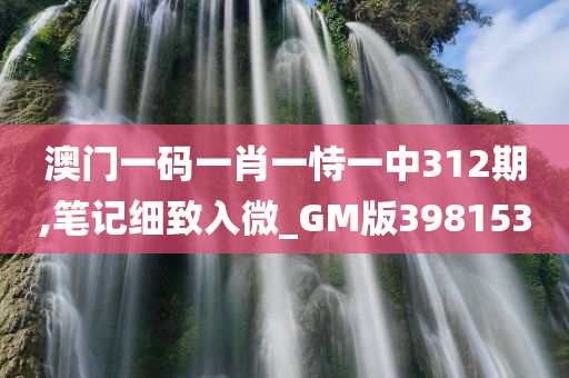 澳门一码一肖一恃一中312期,笔记细致入微_GM版398153